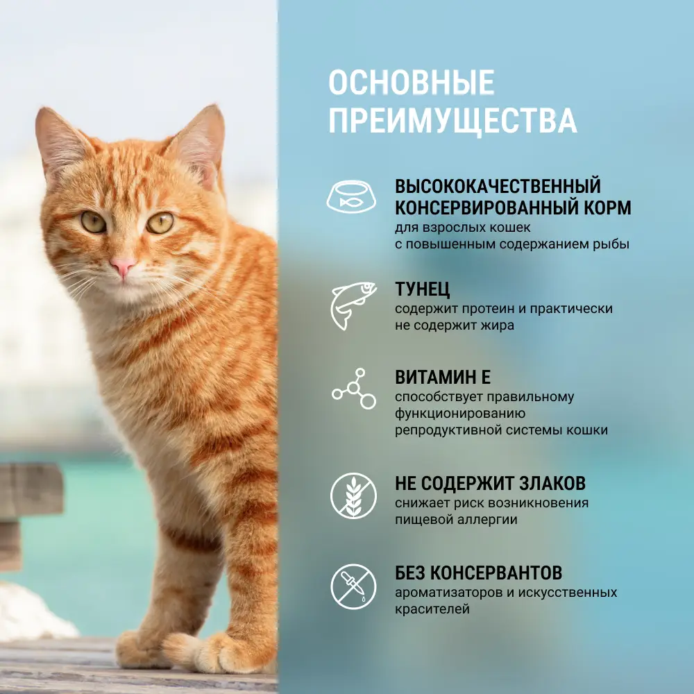 Grandin Holistic Влажный корм (консервы) для взрослых кошек