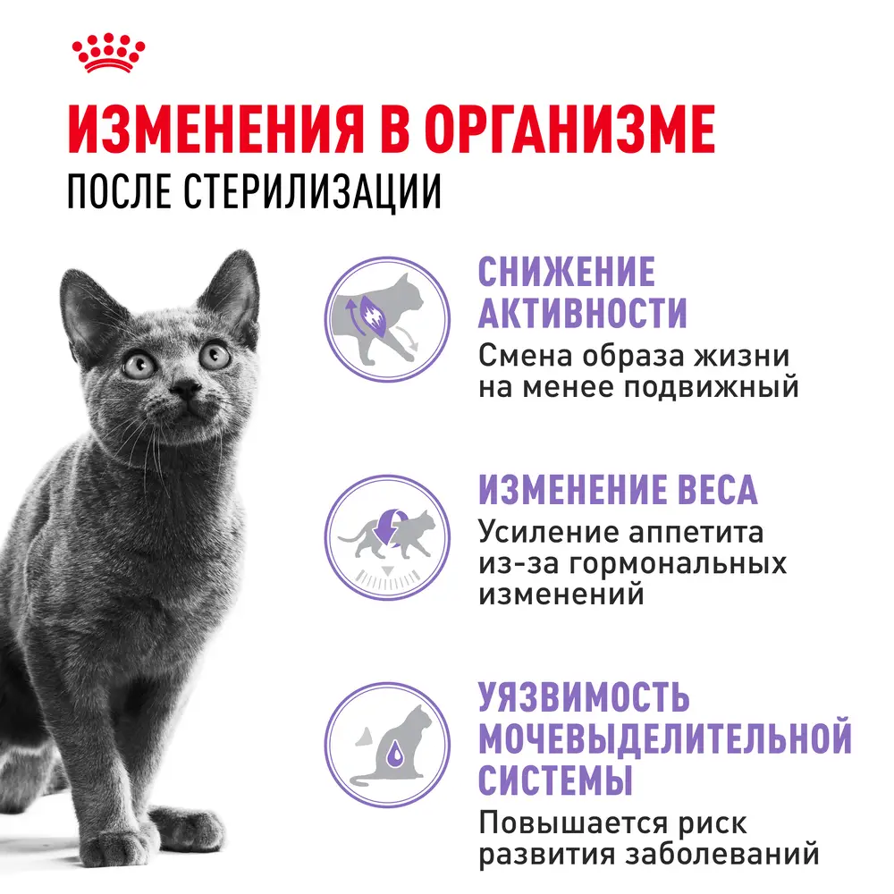 Royal Canin Sterilised 37 Regular Сухой корм для стерилизованных кошек с 1 до 7 лет