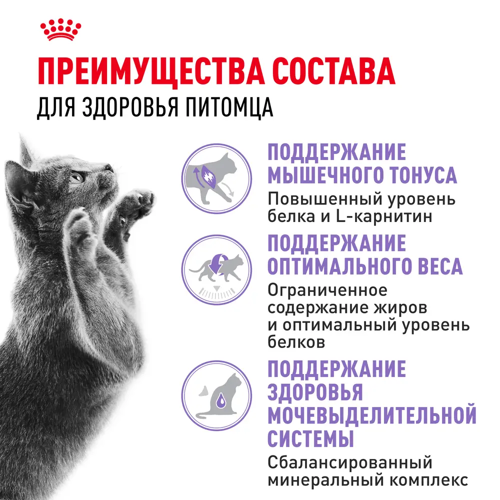 Royal Canin Sterilised 37 Regular Сухой корм для стерилизованных кошек с 1 до 7 лет