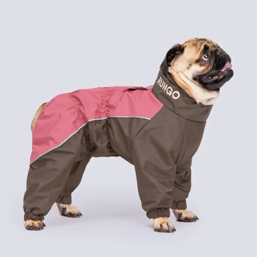 Rungo Комбинезон теплый для собак породы мопс