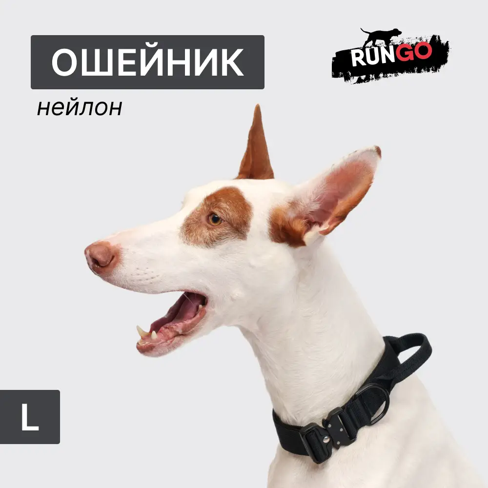 Rungo Ошейник нейлоновый с ручкой для собак K-9, L